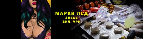 индика Киренск