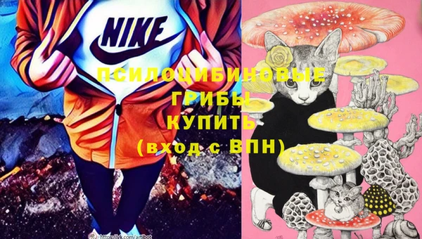 ешки Карпинск