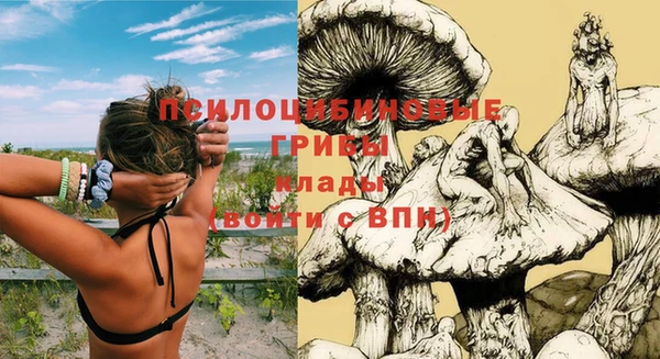 ешки Карпинск