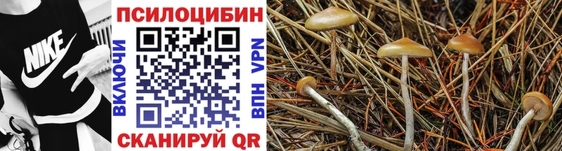 Галлюциногенные грибы мухоморы  Купить где  Иланский 
